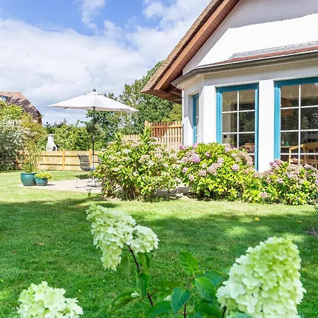 Boddenblick 1 * Born